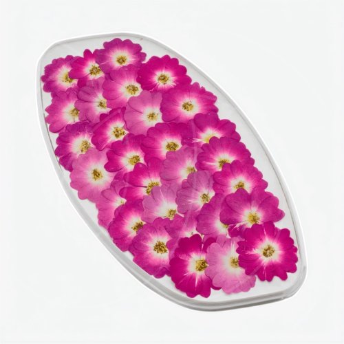 Роза обезвоженная "Пурпурный фламинго" Плоская 30 шт 